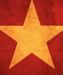 VN